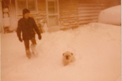Dave-Spike-blizzard-1978